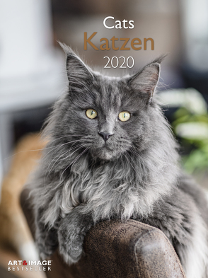 Katzen 2020 A&I