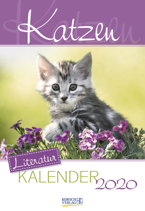 Katzen 2020 von Korsch Verlag