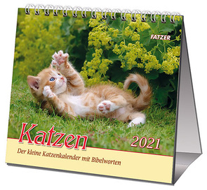 Katzen 2022 (Tischkalender)