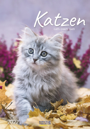 Katzen 2022 von Korsch Verlag