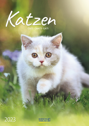 Katzen 2023 von Korsch Verlag