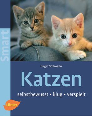 Katzen von Gollmann,  Birgit