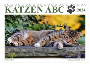 Katzen ABC (Tischkalender 2024 DIN A5 quer), CALVENDO Monatskalender von Löwer,  Sabine