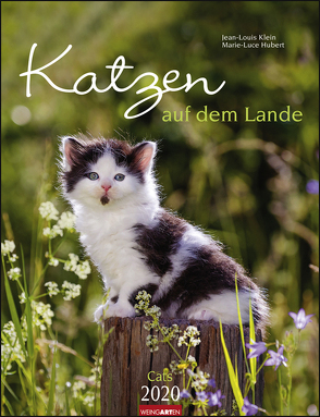 Katzen auf dem Lande Kalender 2020 von Hubert,  Marie-Luce, Klein,  Jean-Louis, Weingarten