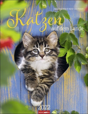 Katzen auf dem Lande Kalender 2022 von Hubert,  Marie-Luce, Klein,  Jean-Louis, Weingarten