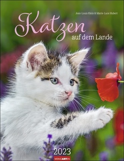 Katzen auf dem Lande Kalender 2023. Süße Kätzchen in ländlicher Idylle: Ein Fotokalender zum Dahinschmelzen. Großer Wandkalender für alle Fans der Stubentiger. von Hubert,  Marie-Luce, Klein,  Jean-Louis, Weingarten