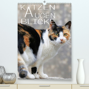 KATZEN AUGEN BLICKE (Premium, hochwertiger DIN A2 Wandkalender 2021, Kunstdruck in Hochglanz) von Sock,  Reinhard