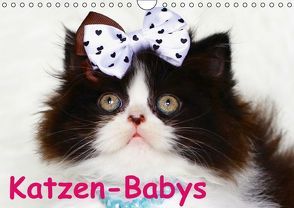 Katzen-Babys (Wandkalender immerwährend DIN A4 quer) von Stanzer,  Elisabeth