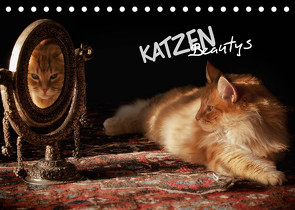 KATZEN Beautys (Tischkalender 2022 DIN A5 quer) von Gross,  Viktor