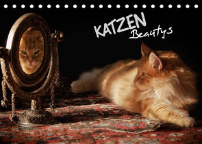 KATZEN Beautys (Tischkalender 2023 DIN A5 quer) von Gross,  Viktor