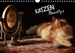 KATZEN Beautys (Wandkalender 2021 DIN A4 quer) von Gross,  Viktor