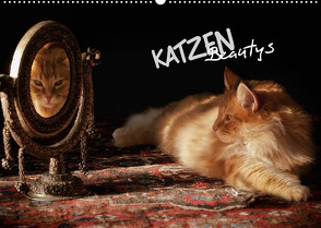 KATZEN Beautys (Wandkalender 2022 DIN A2 quer) von Gross,  Viktor