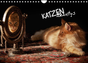 KATZEN Beautys (Wandkalender 2022 DIN A4 quer) von Gross,  Viktor