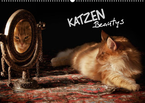 KATZEN Beautys (Wandkalender 2023 DIN A2 quer) von Gross,  Viktor