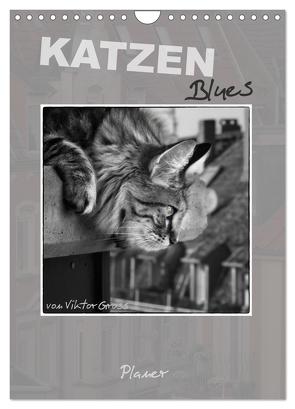 Katzen Blues / Planer (Wandkalender 2024 DIN A4 hoch), CALVENDO Monatskalender von Gross,  Viktor