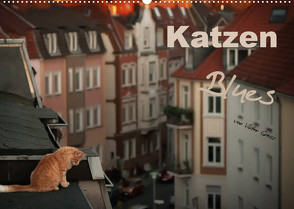 Katzen Blues (Wandkalender 2022 DIN A2 quer) von Gross,  Viktor