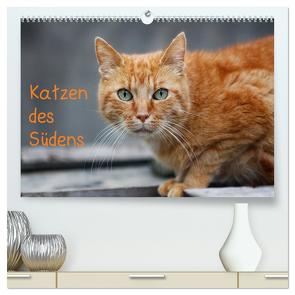 Katzen des Südens (hochwertiger Premium Wandkalender 2024 DIN A2 quer), Kunstdruck in Hochglanz von Möckel / Lucy L!u,  Claudia