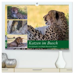 Katzen im Busch (hochwertiger Premium Wandkalender 2024 DIN A2 quer), Kunstdruck in Hochglanz von Harriette Seifert,  Birgit