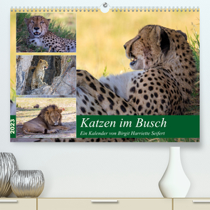 Katzen im Busch (Premium, hochwertiger DIN A2 Wandkalender 2023, Kunstdruck in Hochglanz) von Harriette Seifert,  Birgit