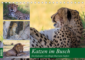 Katzen im Busch (Tischkalender 2023 DIN A5 quer) von Harriette Seifert,  Birgit