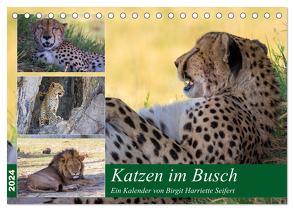 Katzen im Busch (Tischkalender 2024 DIN A5 quer), CALVENDO Monatskalender von Harriette Seifert,  Birgit