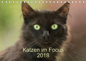 Katzen im Focus 2018 (Tischkalender 2018 DIN A5 quer) von Rehpöhler,  Stefanie