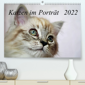 Katzen im Porträt / Geburtstagskalender (Premium, hochwertiger DIN A2 Wandkalender 2022, Kunstdruck in Hochglanz) von Chrystal,  Jennifer