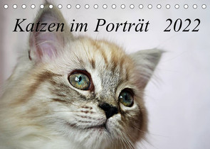 Katzen im Porträt / Geburtstagskalender (Tischkalender 2022 DIN A5 quer) von Chrystal,  Jennifer