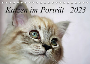 Katzen im Porträt / Geburtstagskalender (Tischkalender 2023 DIN A5 quer) von Chrystal,  Jennifer