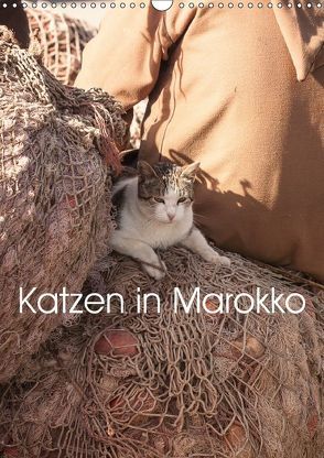 Katzen in Marokko (Wandkalender 2018 DIN A3 hoch) von Klein + Andreas Lauermann,  Anja