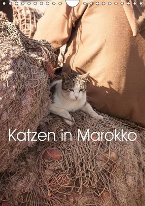 Katzen in Marokko (Wandkalender 2018 DIN A4 hoch) von Klein + Andreas Lauermann,  Anja