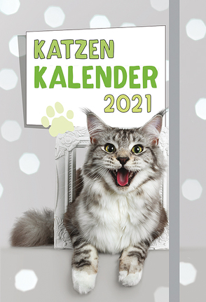 Katzen – Kalender 2021