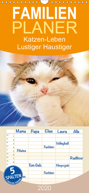 Katzen-Leben: Lustiger Haustiger – Familienplaner hoch (Wandkalender 2020 , 21 cm x 45 cm, hoch) von CALVENDO