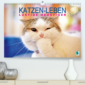 Katzen-Leben: Lustiger Haustiger (Premium, hochwertiger DIN A2 Wandkalender 2021, Kunstdruck in Hochglanz) von CALVENDO