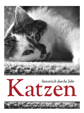 Katzen – literarisch durchs Jahr 2024