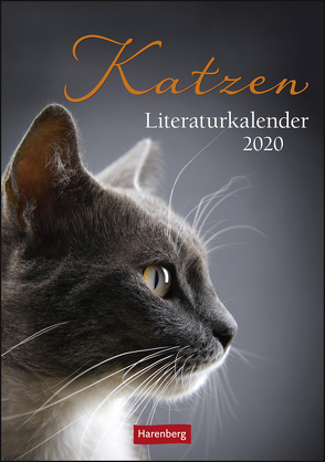 Katzen Literaturkalender Kalender 2020 von Harenberg, Schröder,  Rebecca