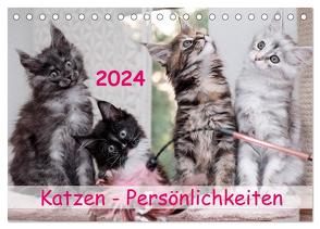 Katzen Persönlichkeiten 2024 (Tischkalender 2024 DIN A5 quer), CALVENDO Monatskalender von Rüberg,  Patrick