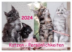 Katzen Persönlichkeiten 2024 (Wandkalender 2024 DIN A3 quer), CALVENDO Monatskalender von Rüberg,  Patrick