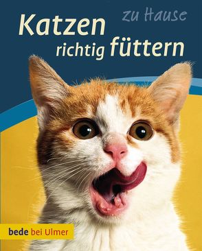 Katzen richtig füttern von Laukner,  Anna