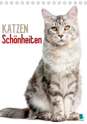 Katzen-Schönheiten (Tischkalender 2018 DIN A5 hoch) von CALVENDO