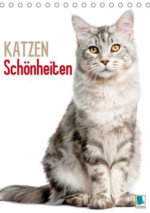 Katzen-Schönheiten (Tischkalender 2019 DIN A5 hoch) von CALVENDO