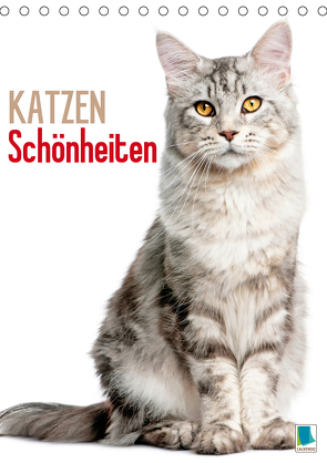 Katzen-Schönheiten (Tischkalender 2021 DIN A5 hoch) von CALVENDO