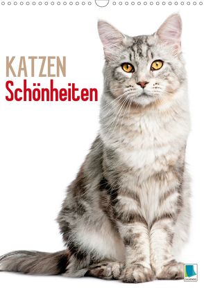 Katzen-Schönheiten (Wandkalender 2020 DIN A3 hoch) von CALVENDO