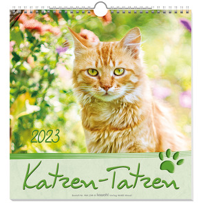 Katzen-Tatzen 2023