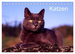 Katzen (Tischkalender 2024 DIN A5 quer), CALVENDO Monatskalender von / Werner Layer,  McPHOTO