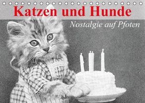 Katzen und Hunde – Nostalgie auf Pfoten (Tischkalender immerwährend DIN A5 quer) von Stanzer,  Elisabeth