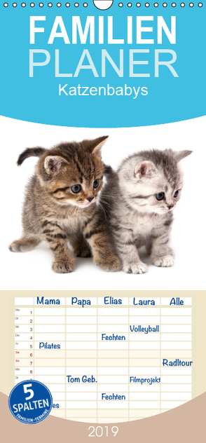 Katzenbabys – Familienplaner hoch (Wandkalender 2019 , 21 cm x 45 cm, hoch) von Hesch-Foto