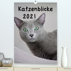 Katzenblicke 2021 (Premium, hochwertiger DIN A2 Wandkalender 2021, Kunstdruck in Hochglanz) von Bollich,  Heidi