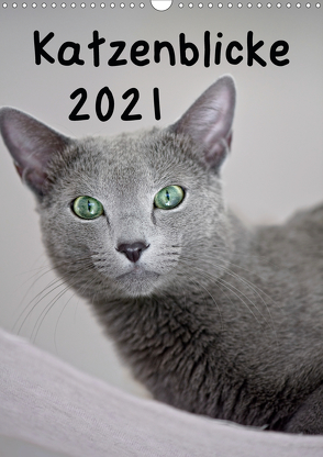 Katzenblicke 2021 (Wandkalender 2021 DIN A3 hoch) von Bollich,  Heidi