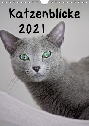 Katzenblicke 2021 (Wandkalender 2021 DIN A4 hoch) von Bollich,  Heidi